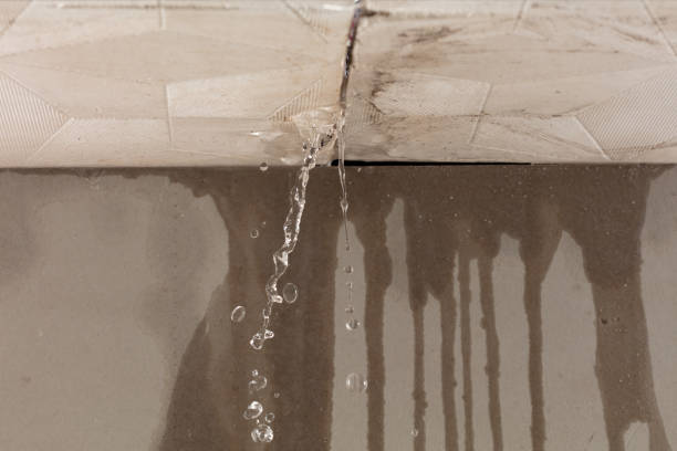 Professional Structural Drying technician working in Muenster, TX